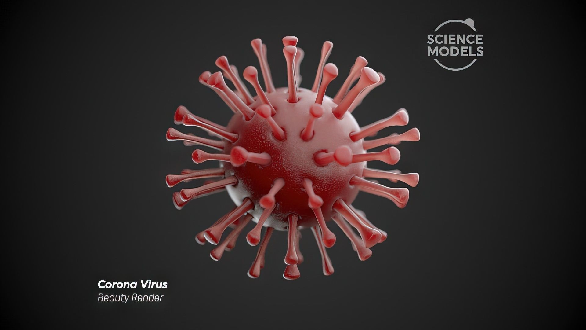 Corona Virus 3D model_2