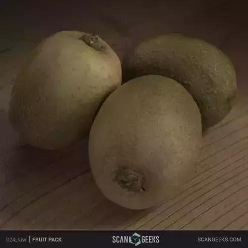 Kiwi Photogrammetry Asset 3D PhotoScan By  Scan Geeks