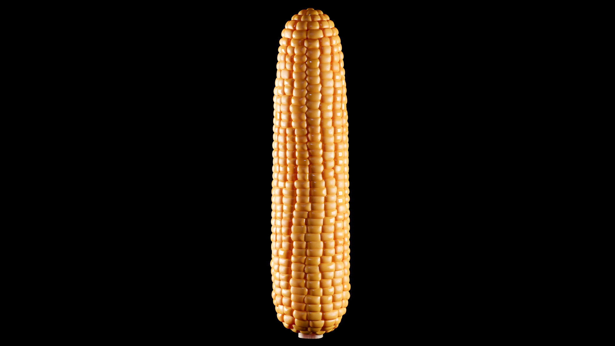 Photorealistic Corn 3D model_9