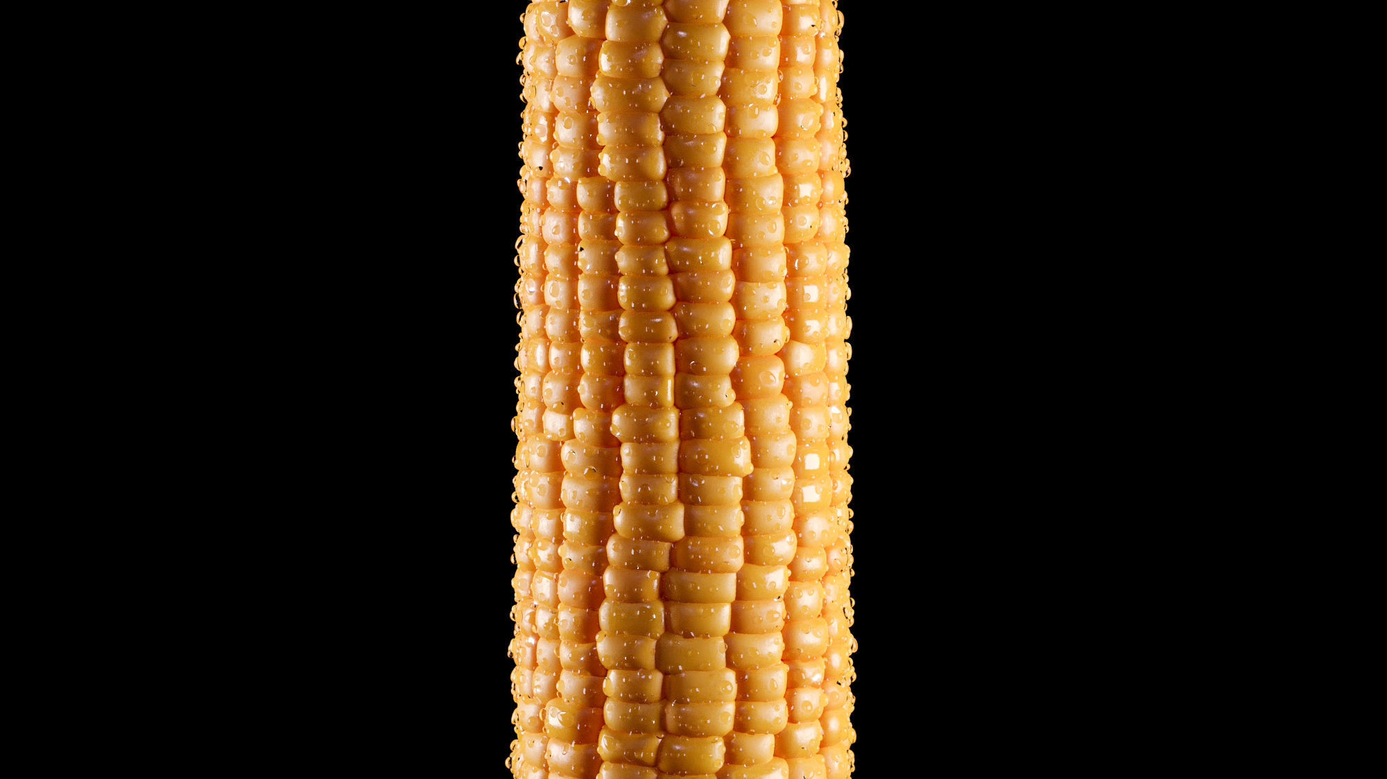 Photorealistic Corn 3D model_8