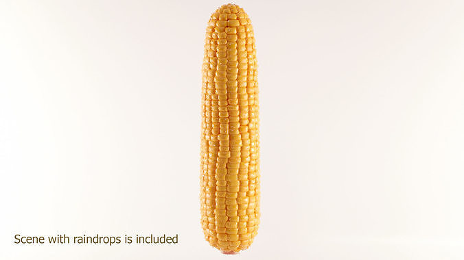 Photorealistic Corn 3D model 5