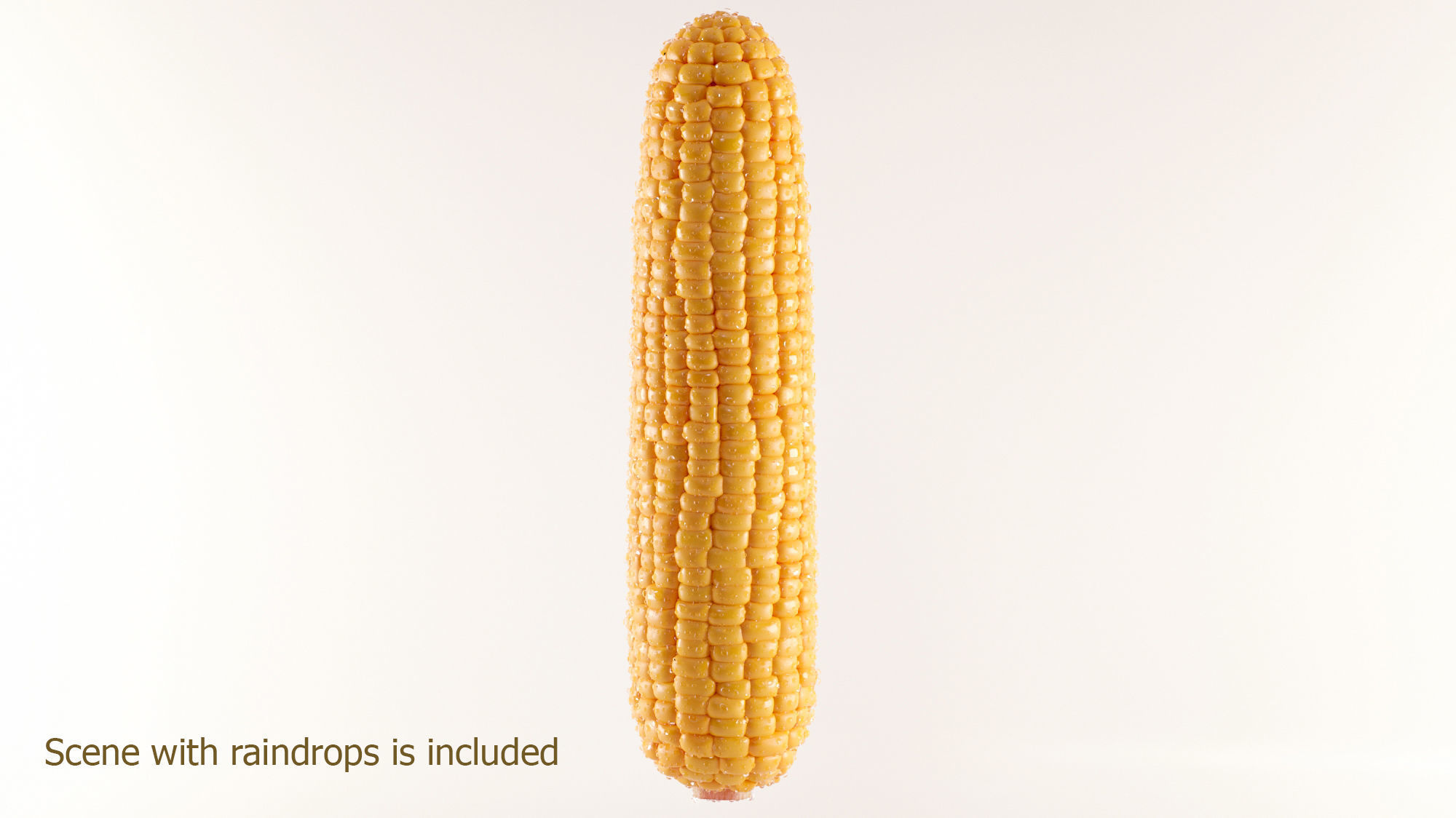 Photorealistic Corn 3D model_4