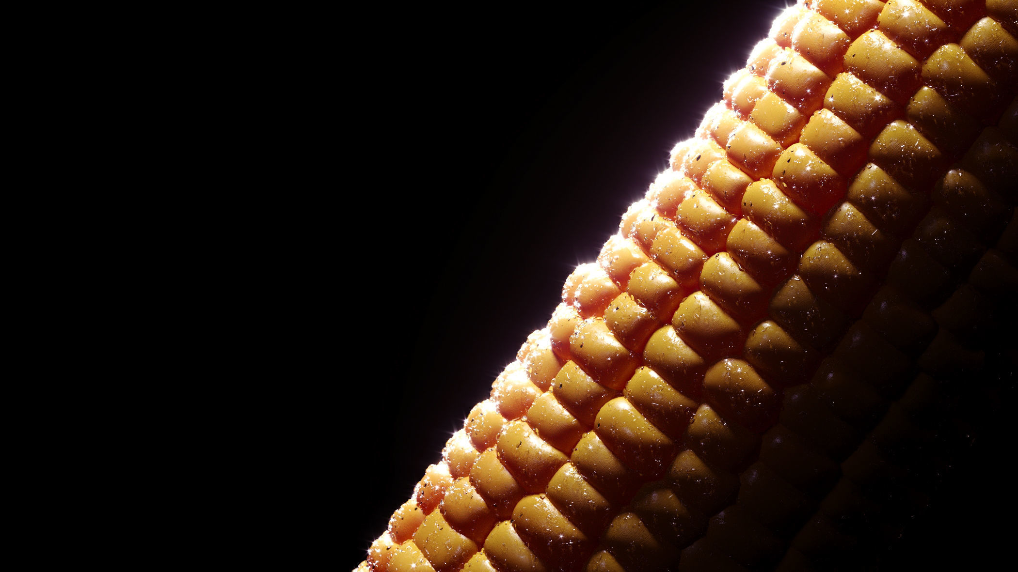 Photorealistic Corn 3D model_13