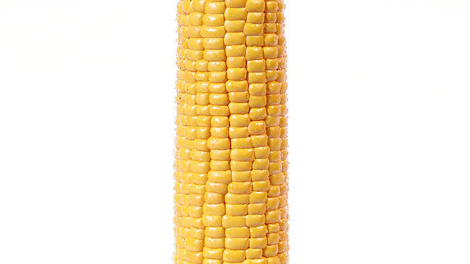 Photorealistic Corn 3D model 7