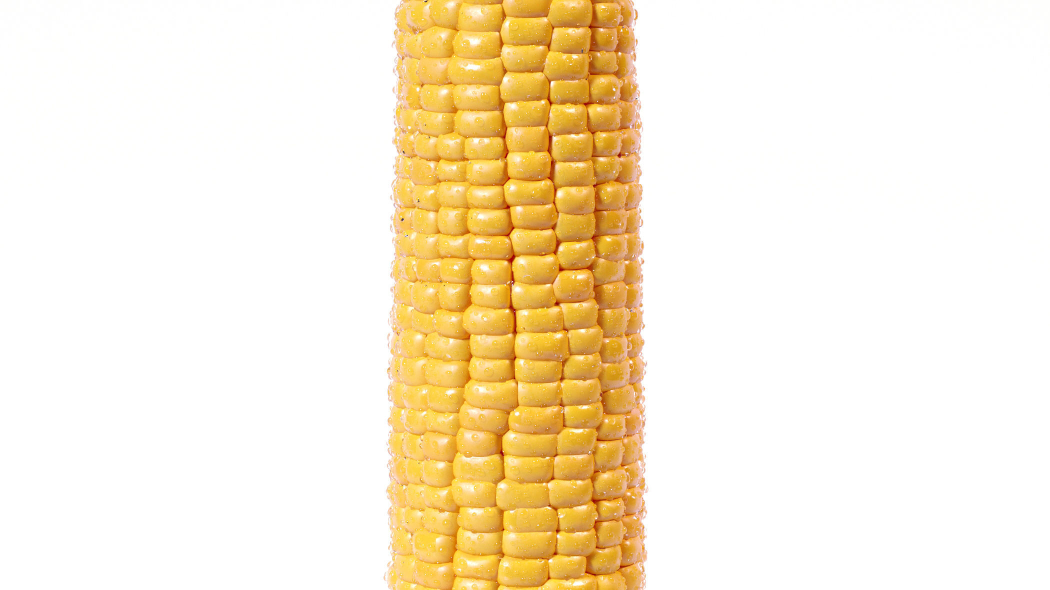Photorealistic Corn 3D model_6