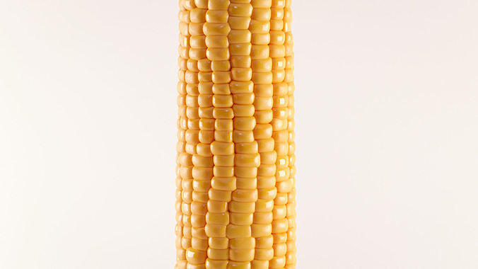 Photorealistic Corn 3D model 4