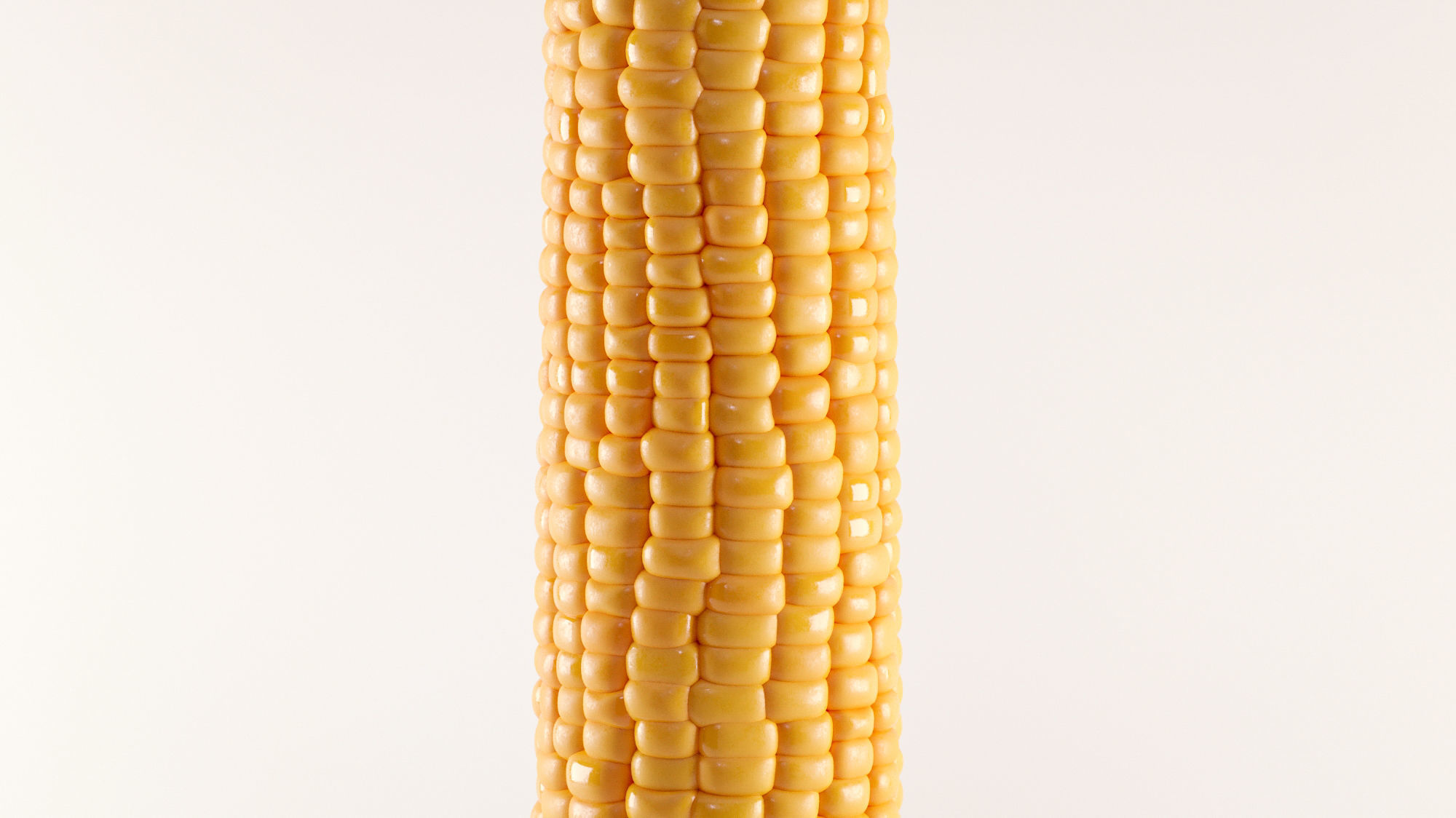 Photorealistic Corn 3D model_3