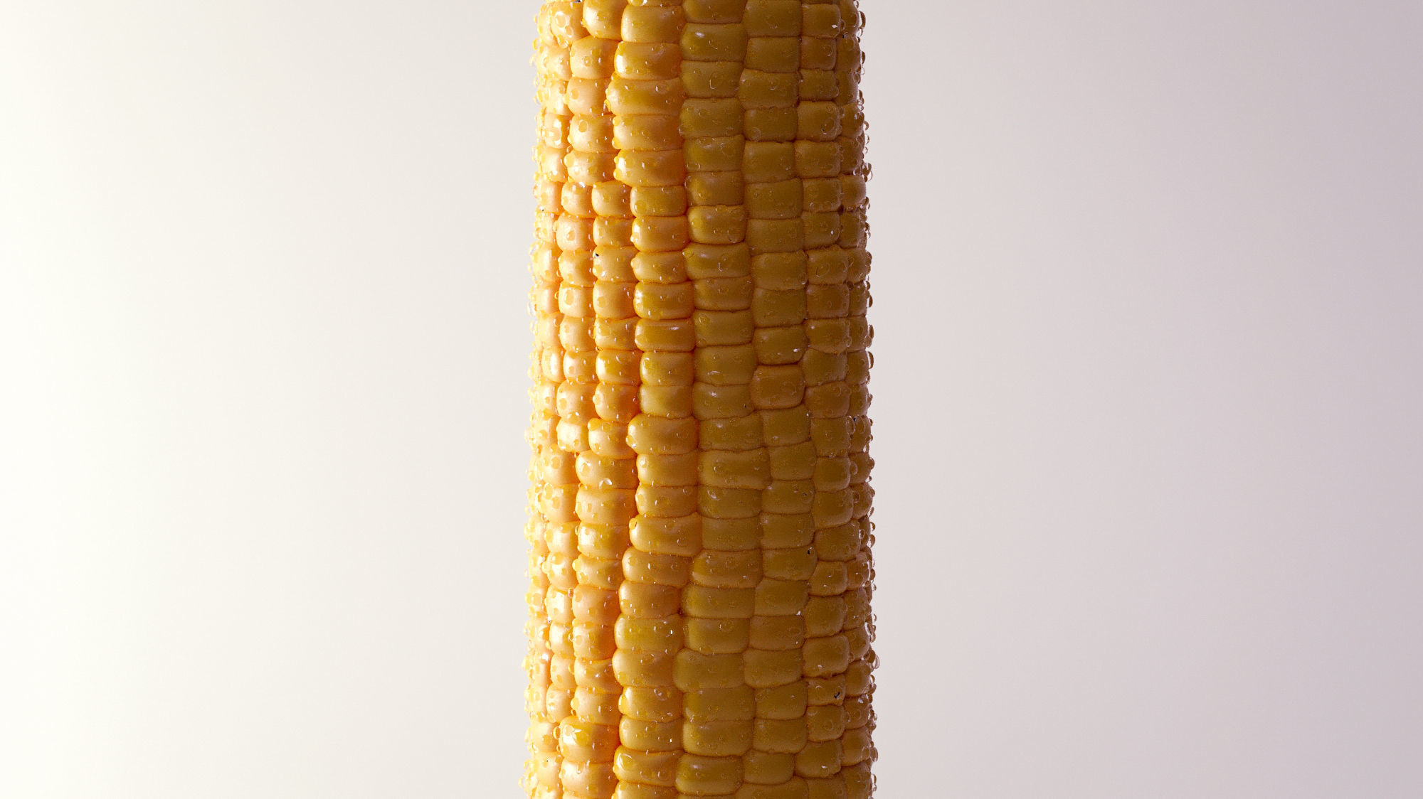 Photorealistic Corn 3D model_7