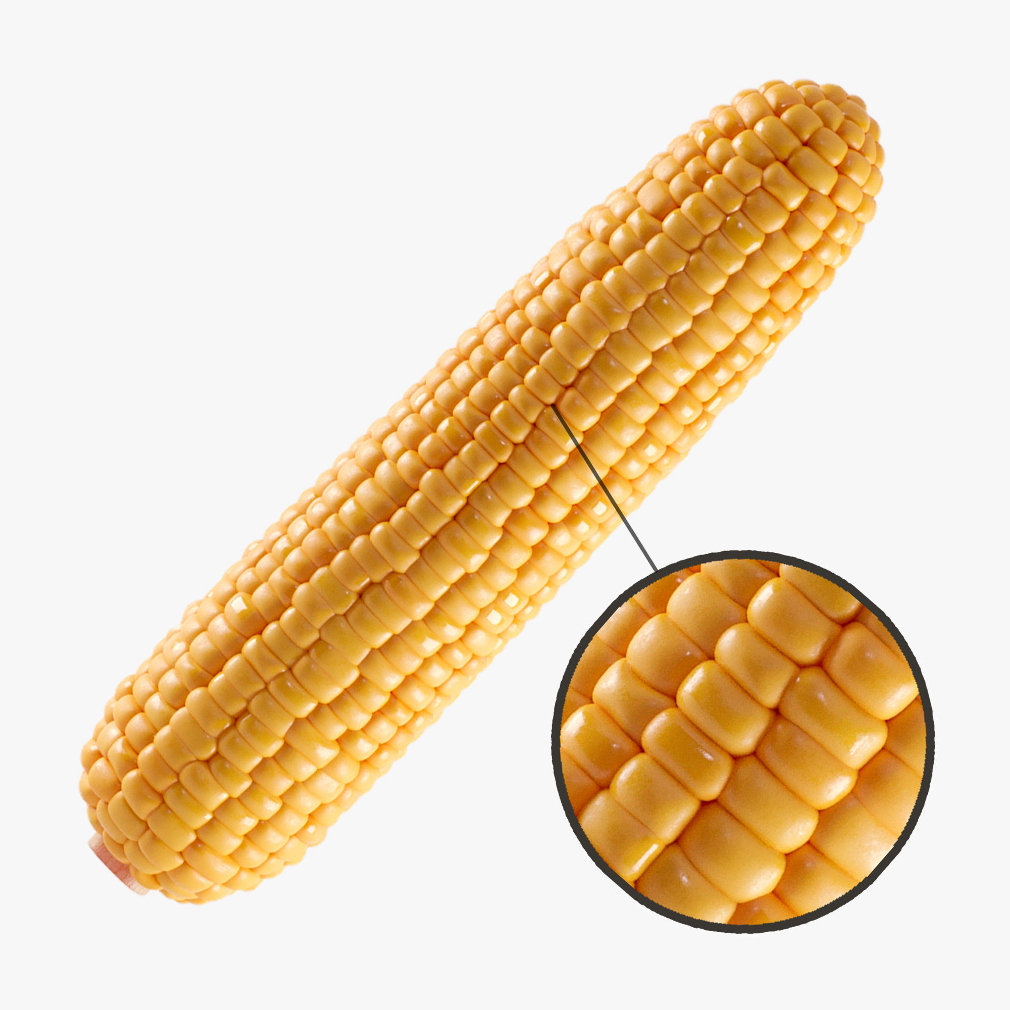 Photorealistic Corn 3D model_0