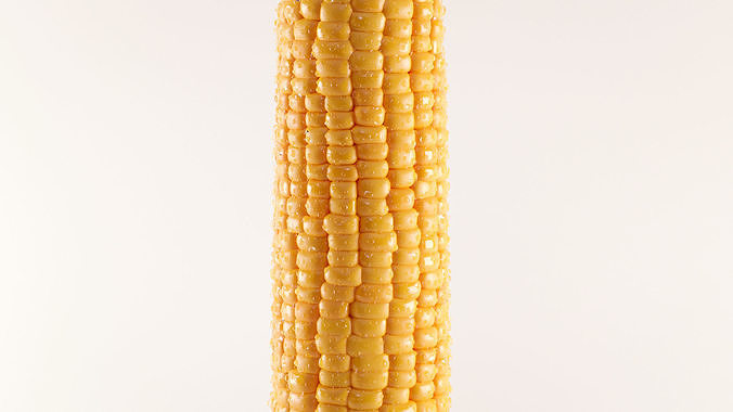 Photorealistic Corn 3D model 6