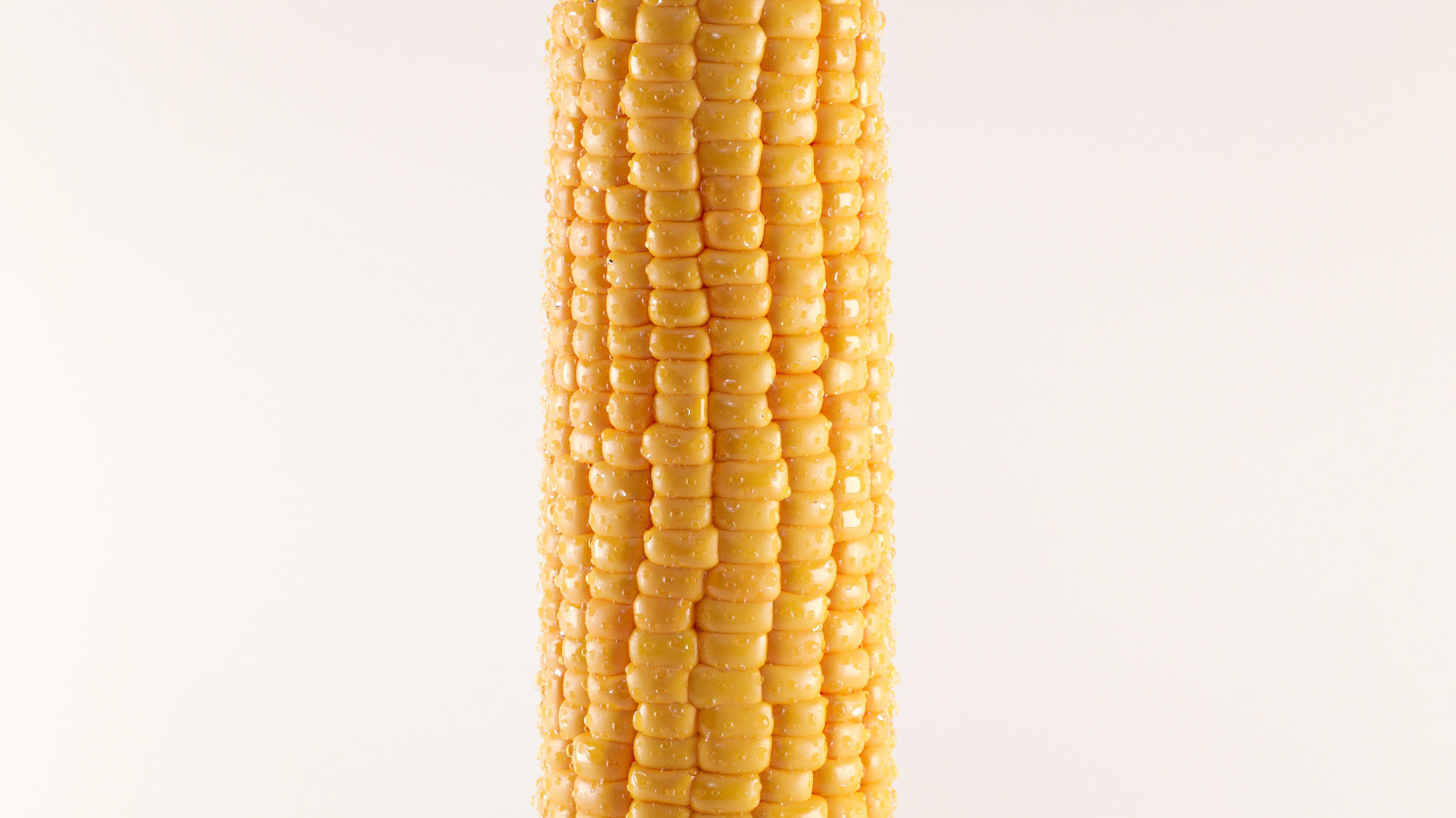 Photorealistic Corn 3D model_5