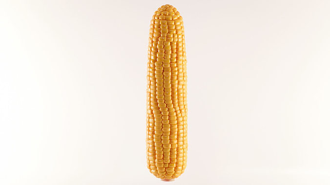 Photorealistic Corn 3D model 3