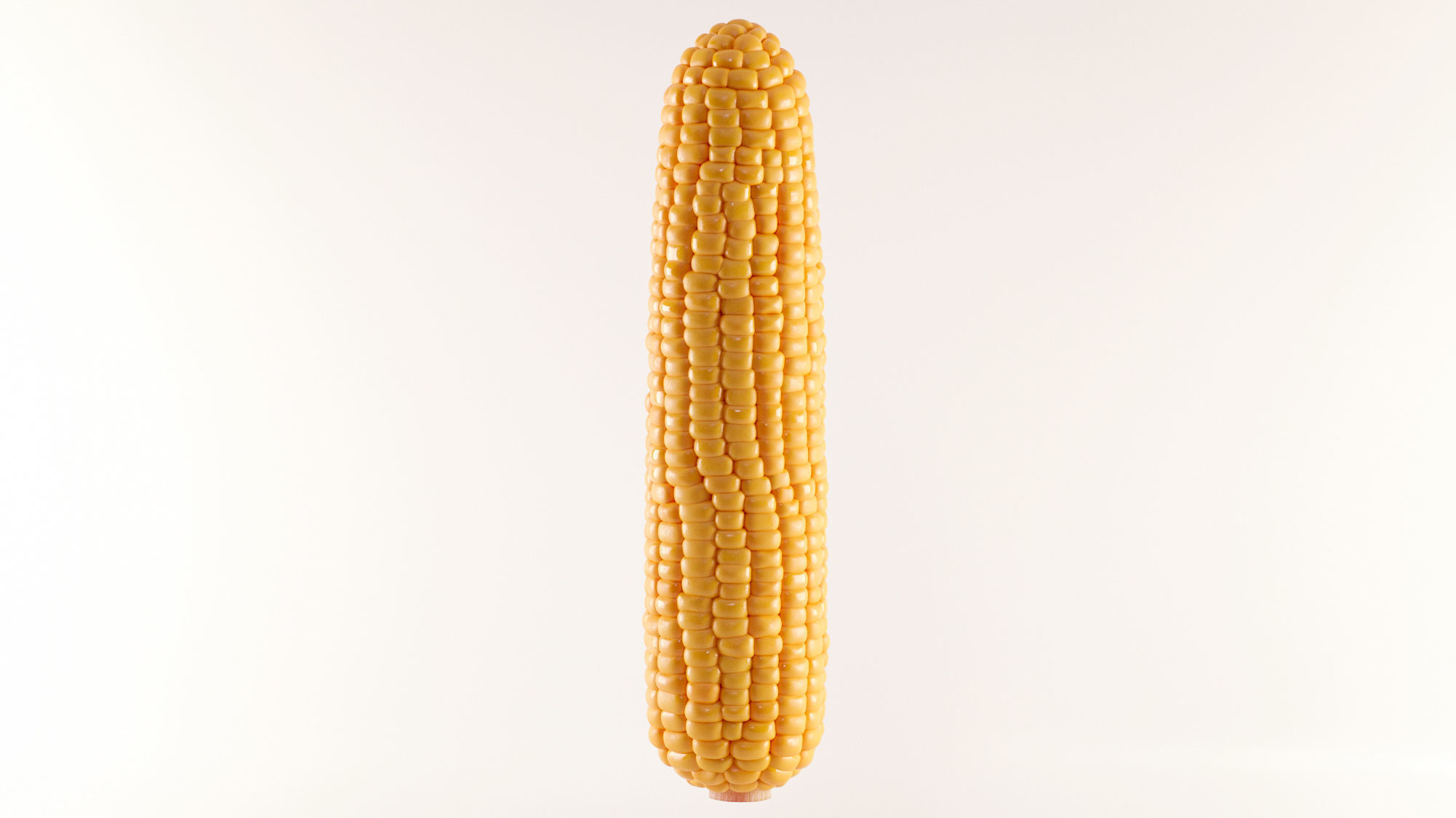 Photorealistic Corn 3D model_2