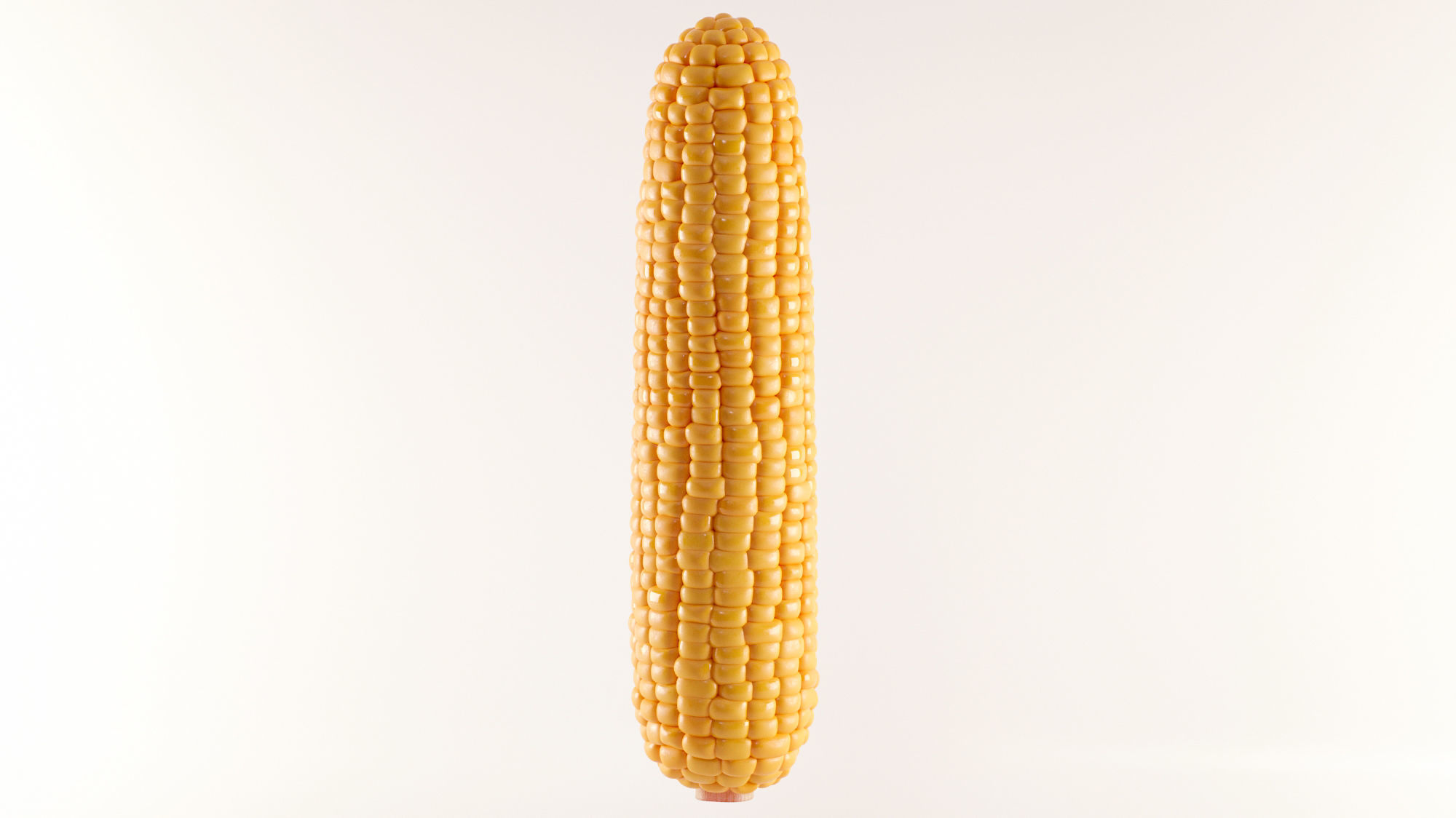 Photorealistic Corn 3D model_1