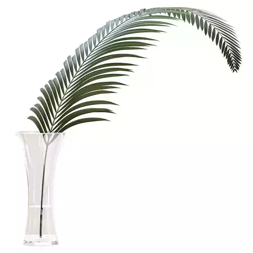 Glass vase with exotic Howea plant