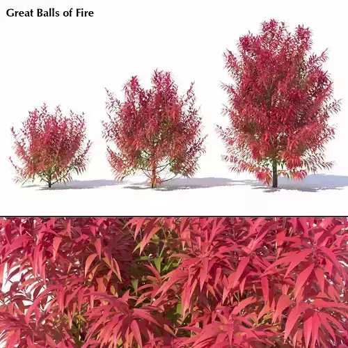 Great Balls of Fire 3D model
