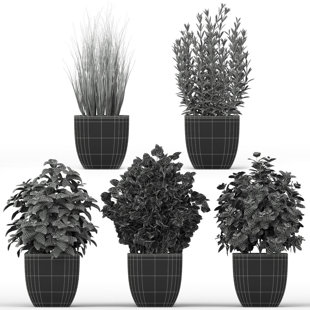 Plants collection 232 3D model_1