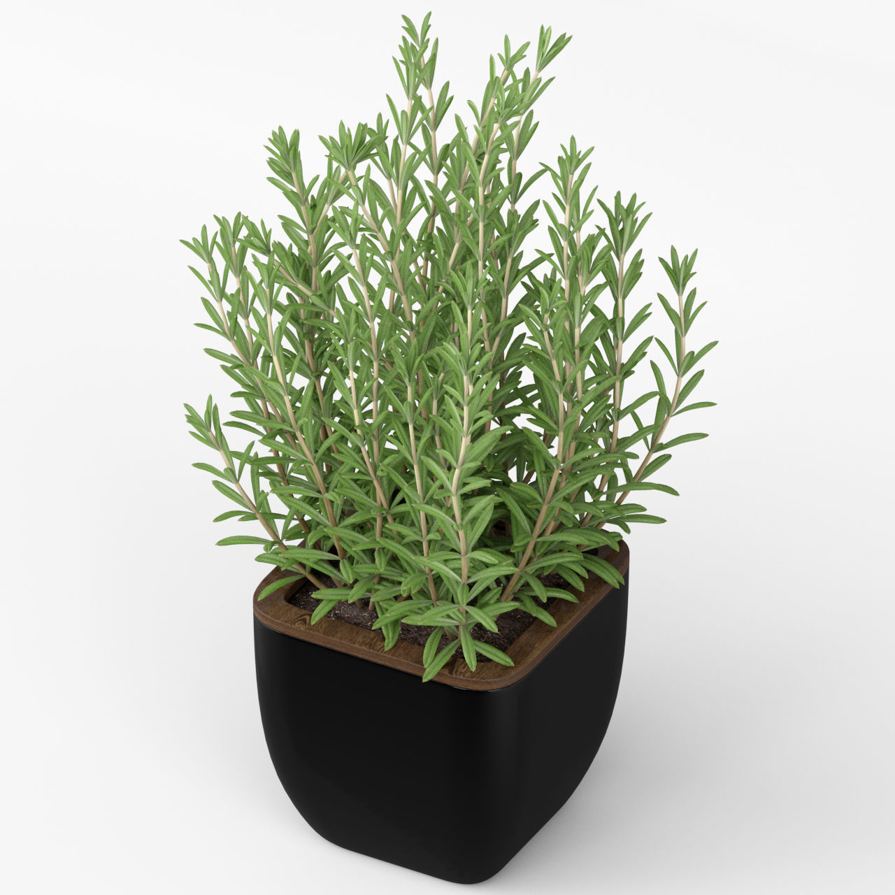 Plants collection 232 3D model_3