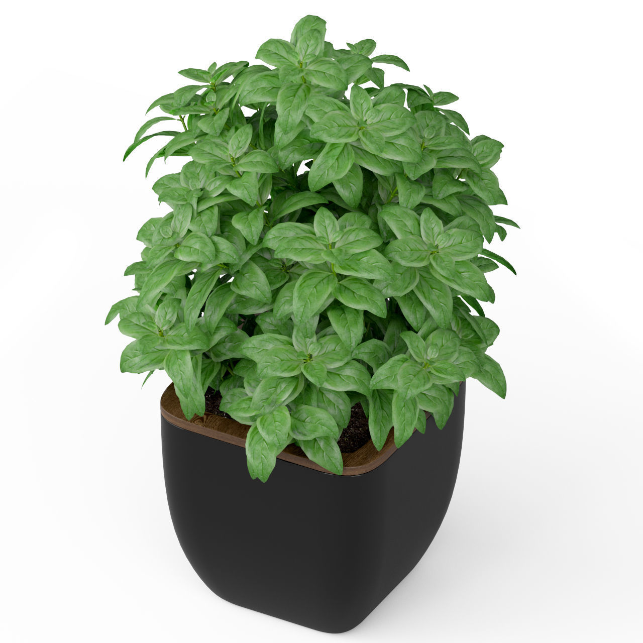 Plants collection 232 3D model_5
