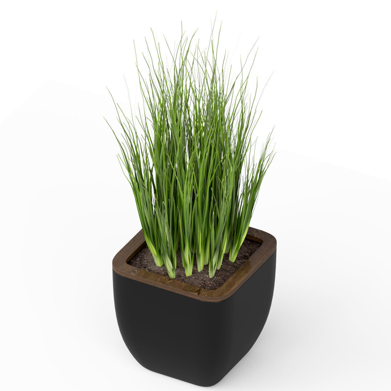 Plants collection 232 3D model_4