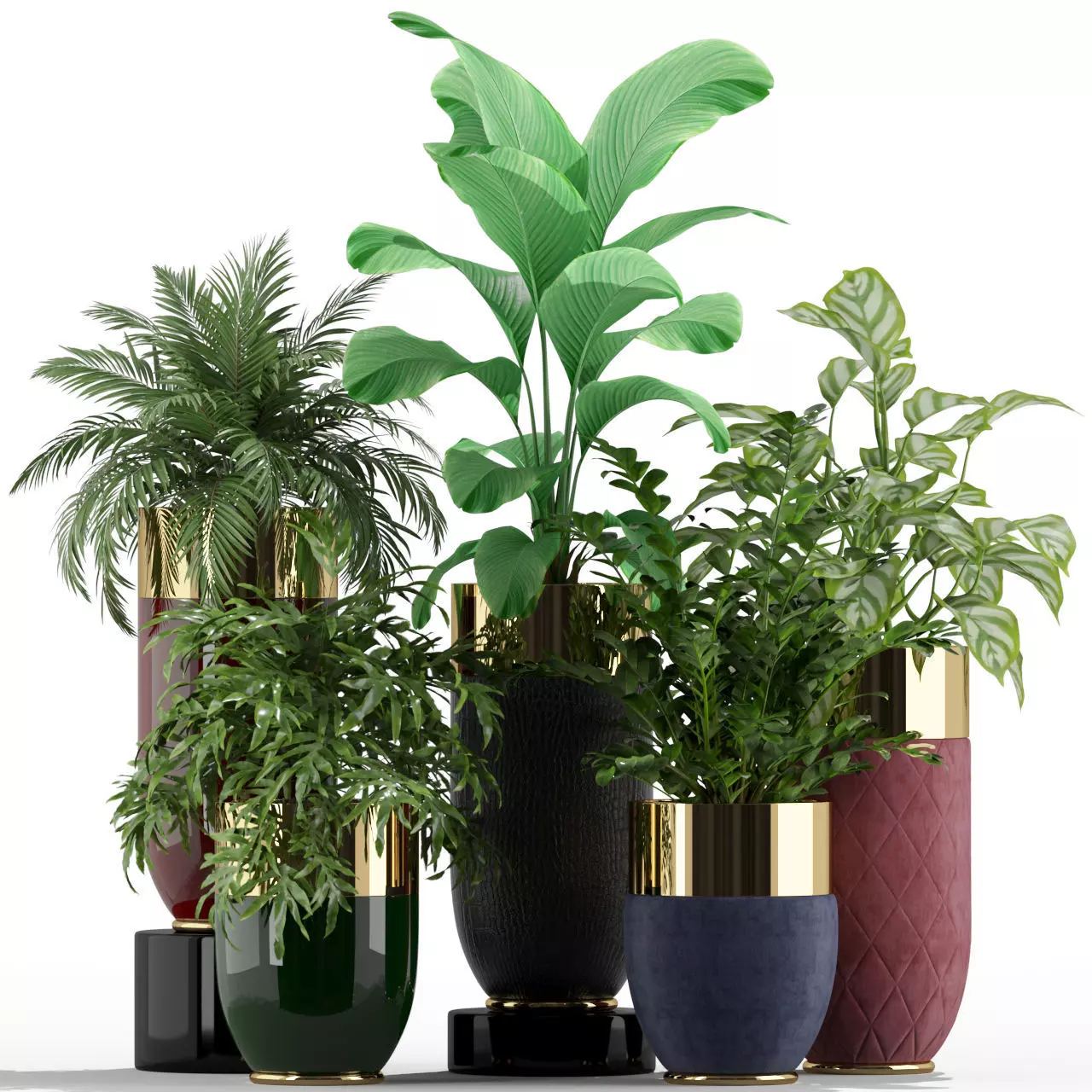 Plants collection 233 Longhi godwin 3D model
