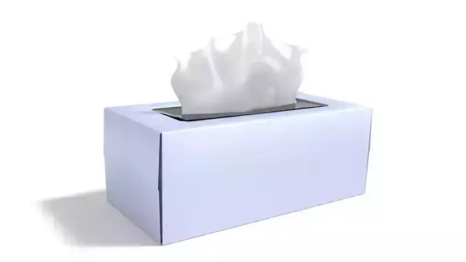 Generic Tissue Box 3D model