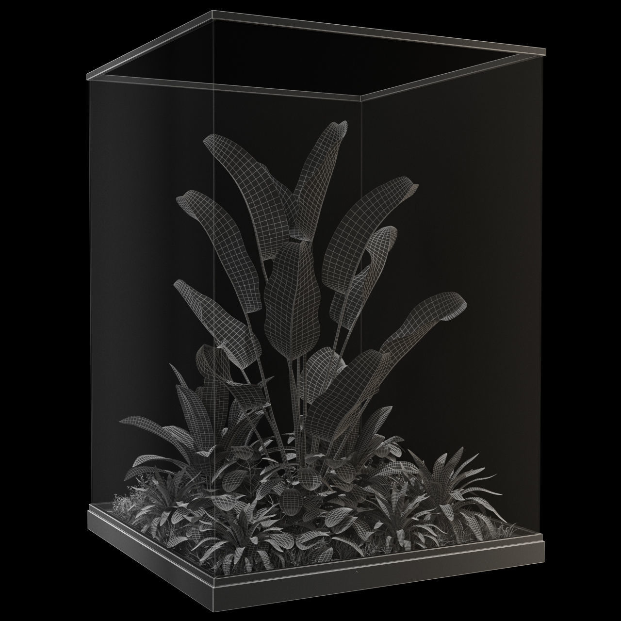 Plants collection 238 3D model_2