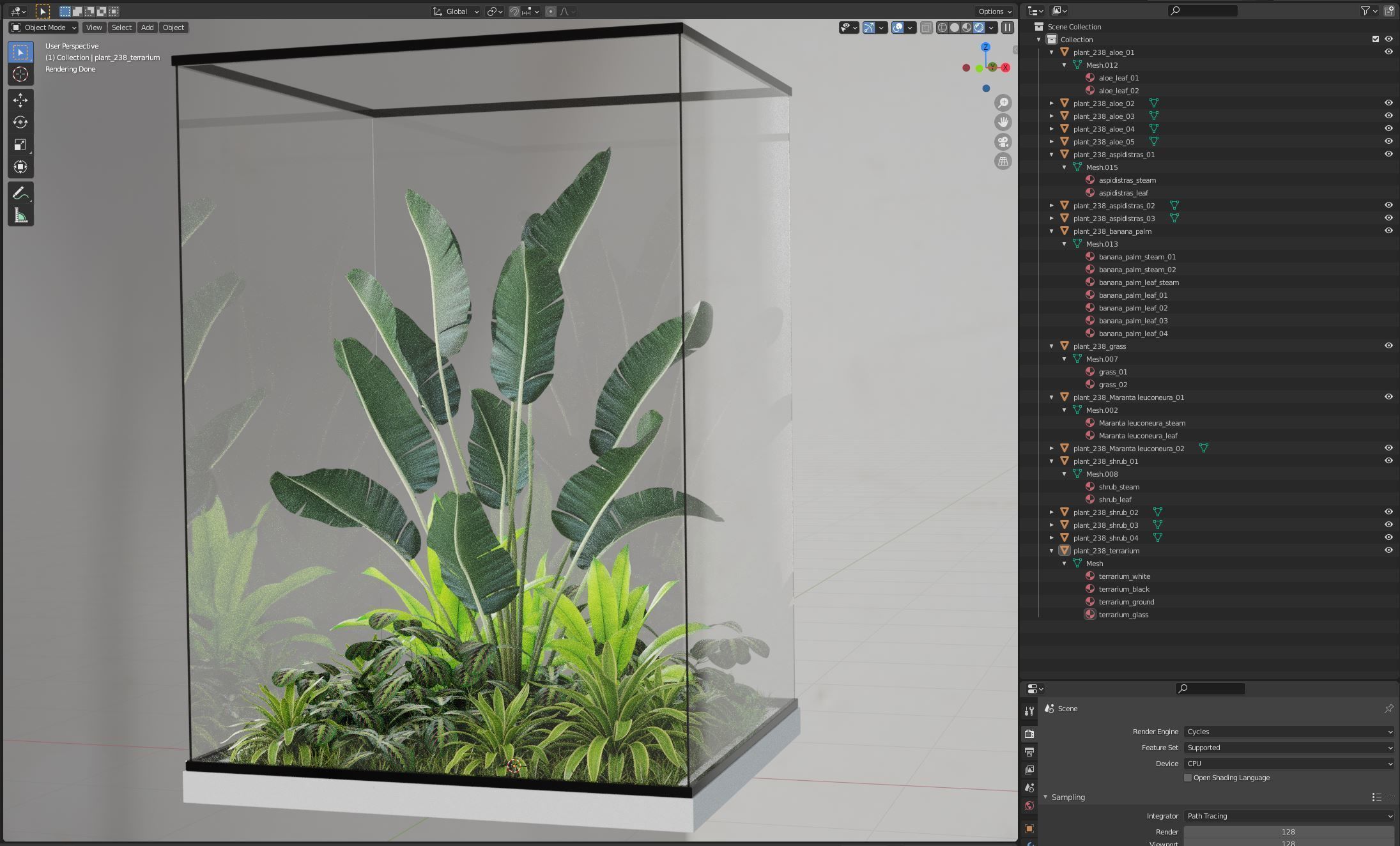 Plants collection 238 3D model_5