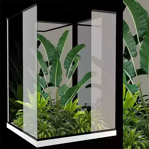 Plants collection 238 3D model