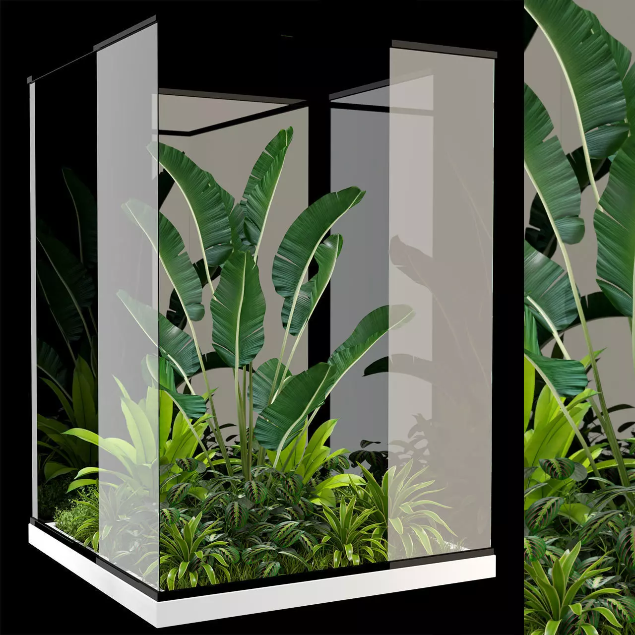 Plants collection 238 3D model_0