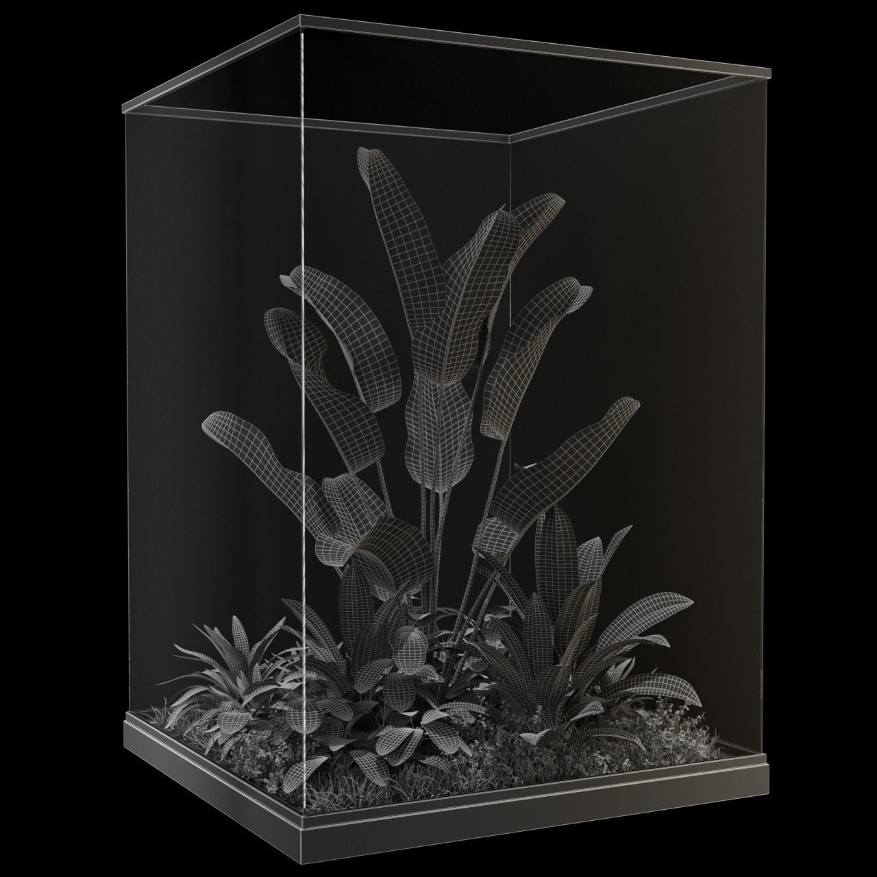 Plants collection 238 3D model_3