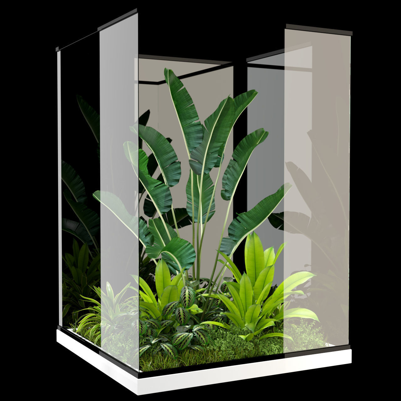 Plants collection 238 3D model_1