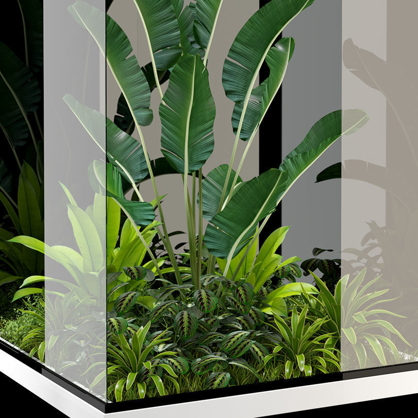 Plants collection 238 3D model_4