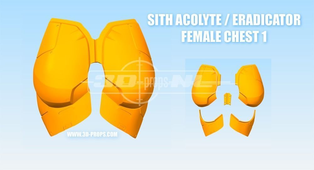 Sith Eradicator Full kit for Cosplay 3D print model_7