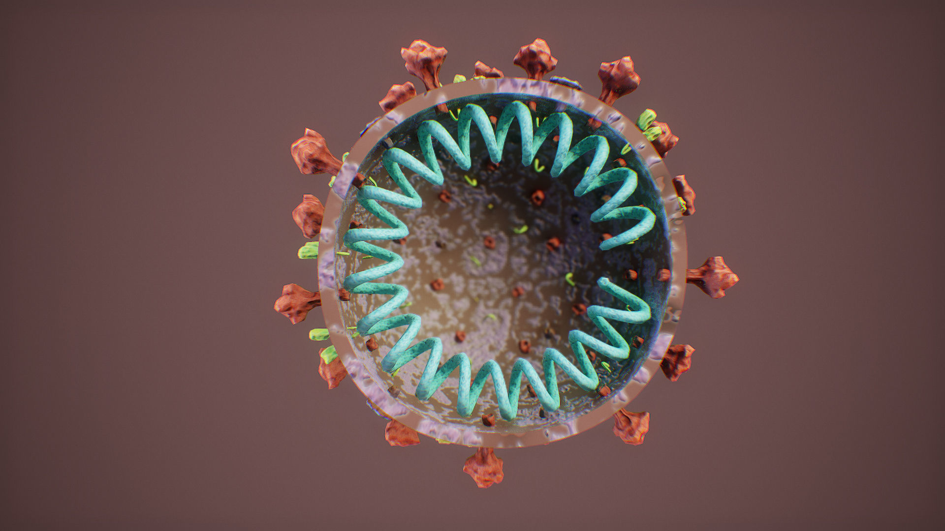CoronaVirus COVID 19 Corona Virus SARS-CoV-2 nCoV with Source Low-poly 3D model_11