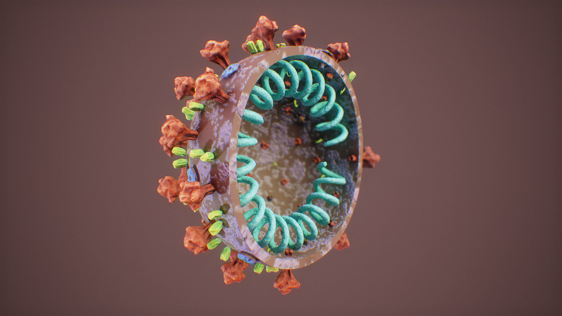 CoronaVirus COVID 19 Corona Virus SARS-CoV-2 nCoV with Source Low-poly 3D model_10