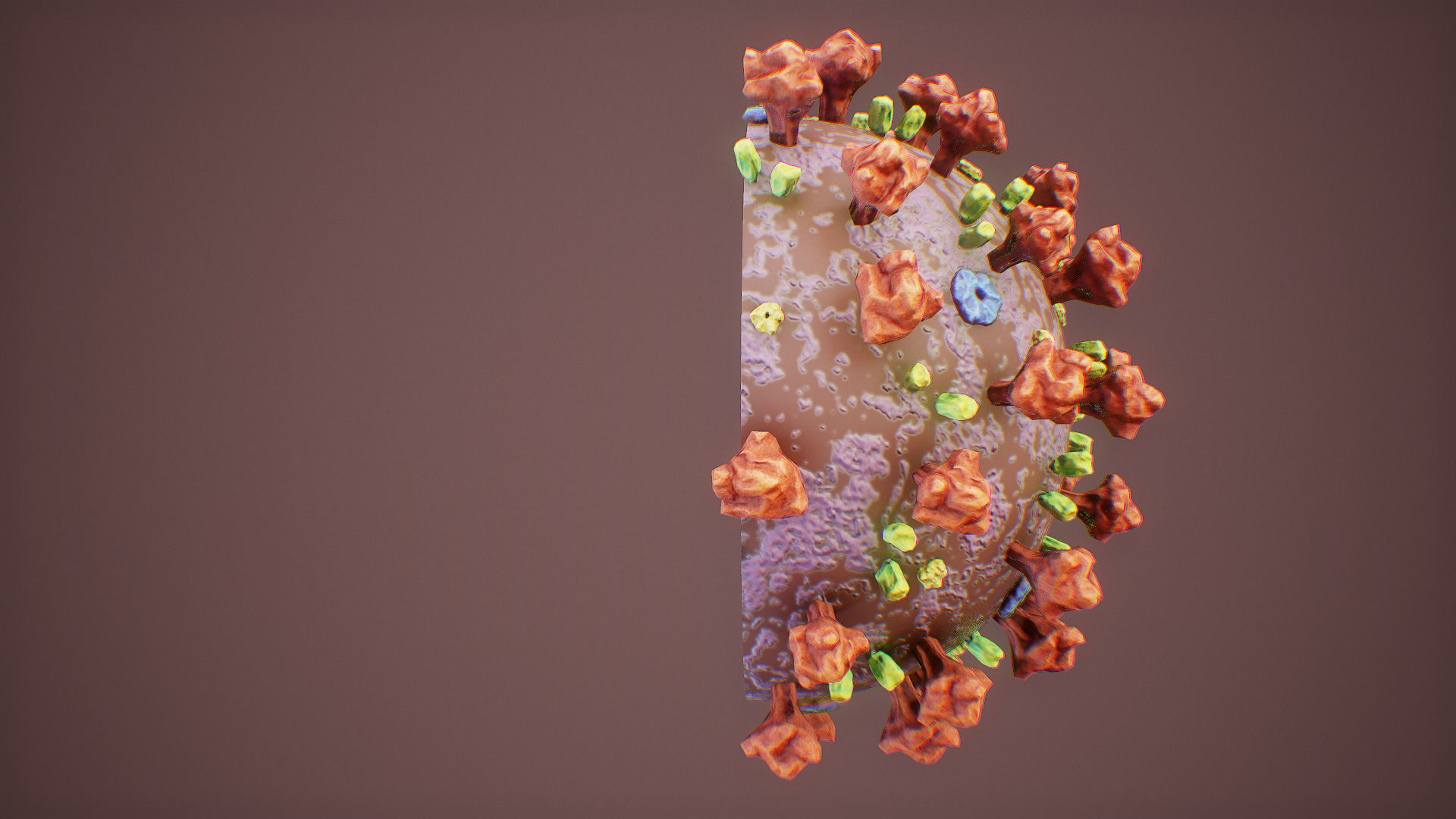 CoronaVirus COVID 19 Corona Virus SARS-CoV-2 nCoV with Source Low-poly 3D model_12