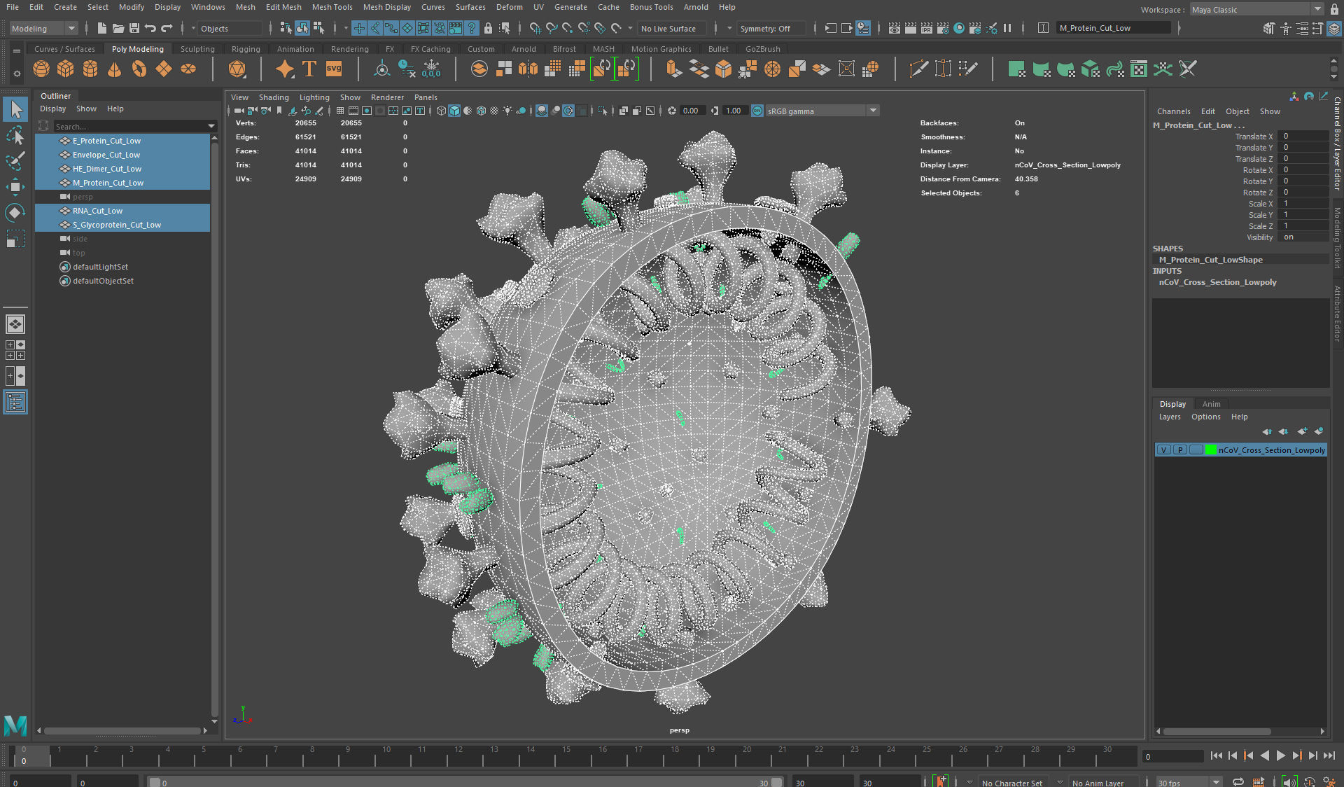 CoronaVirus COVID 19 Corona Virus SARS-CoV-2 nCoV with Source Low-poly 3D model_32