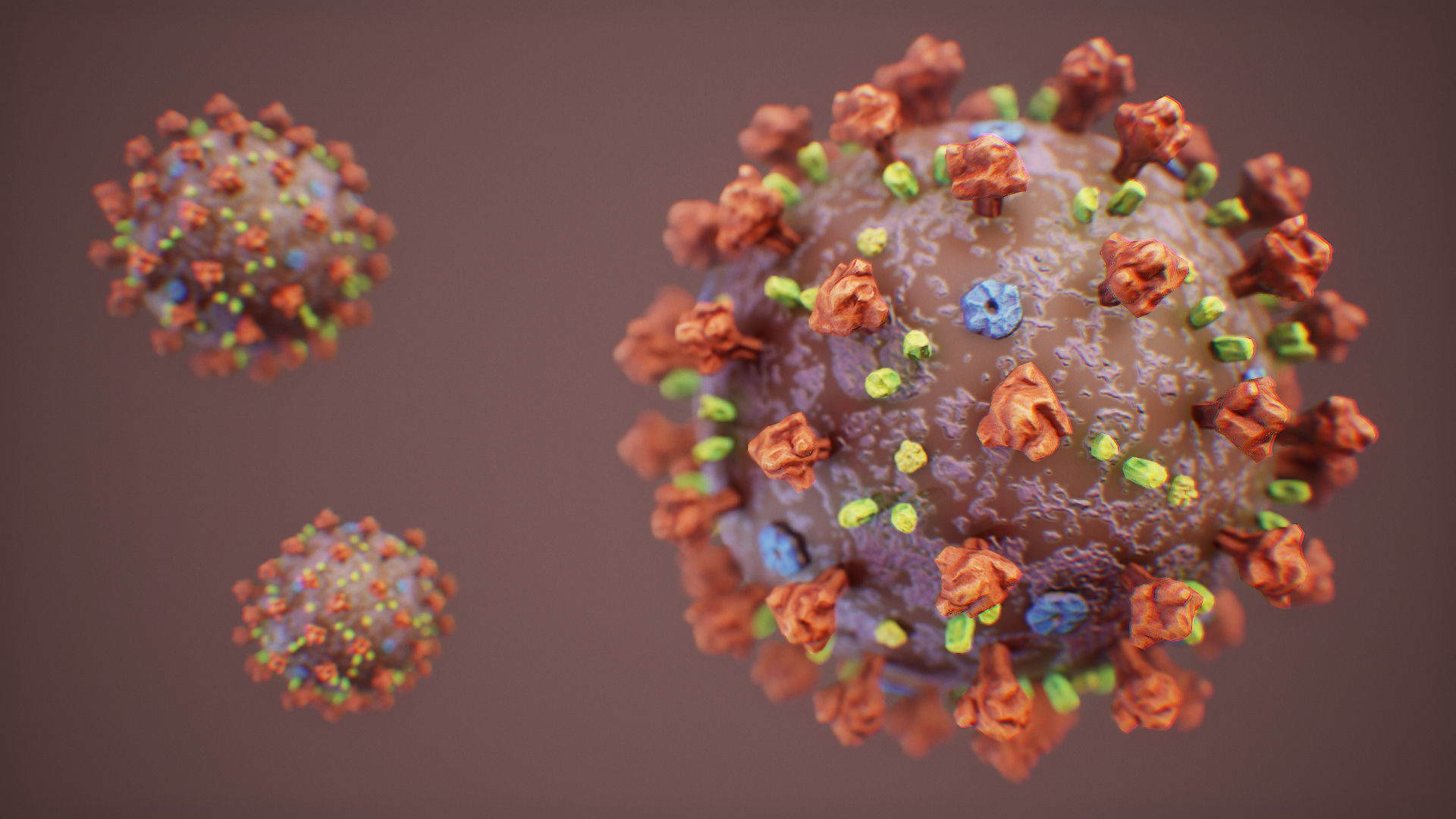 CoronaVirus COVID 19 Corona Virus SARS-CoV-2 nCoV with Source Low-poly 3D model_13