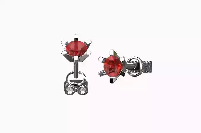 Stud and Pin Earrings crown