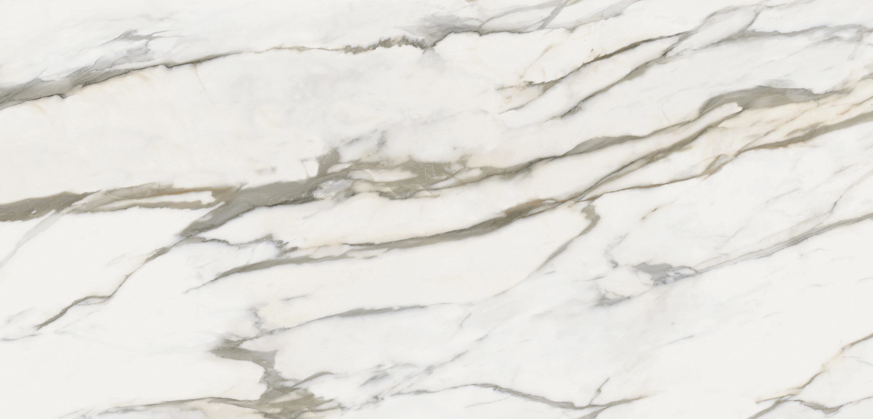 coffe table proiezioni  3D model_3