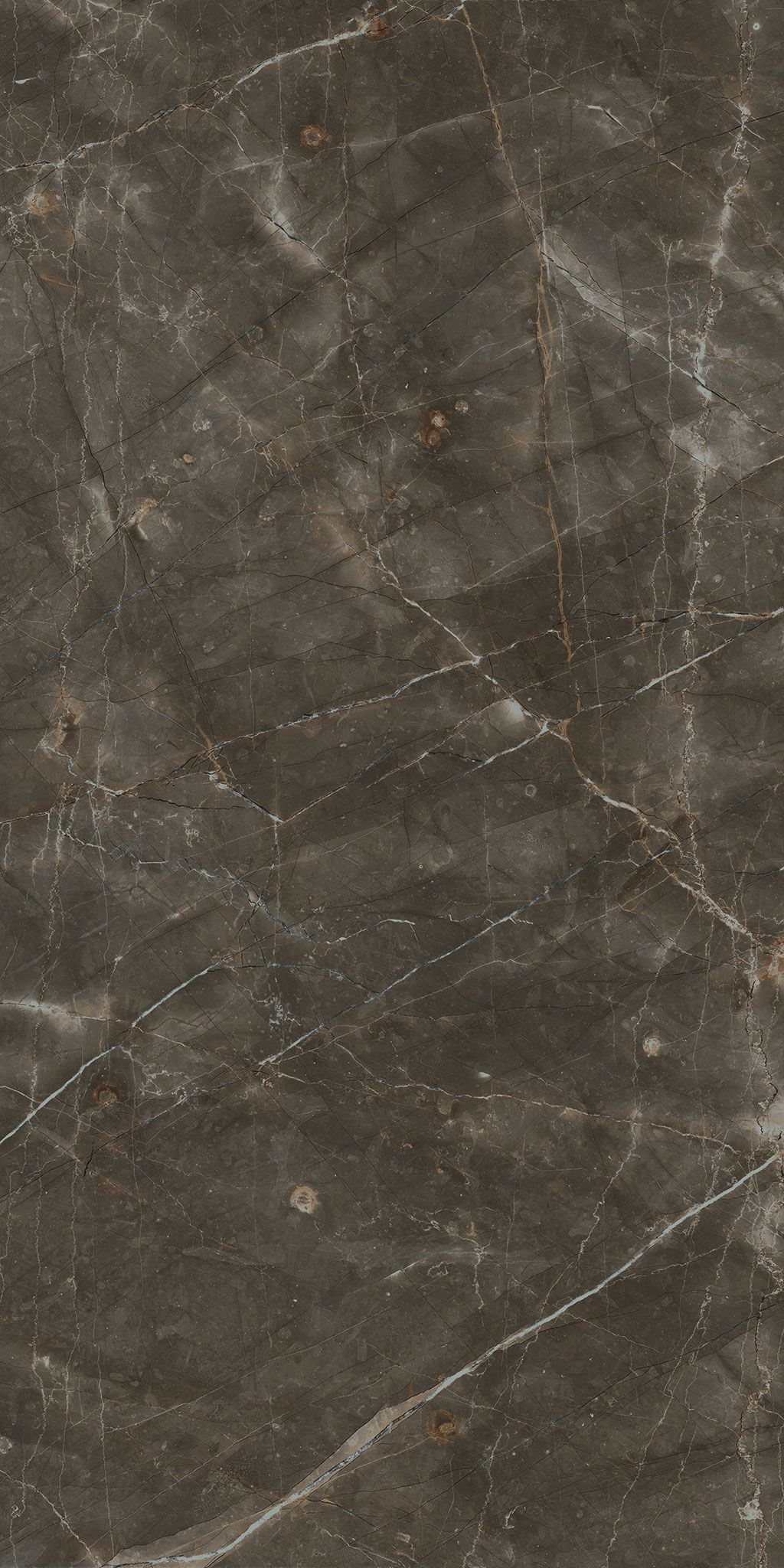 coffe table proiezioni  3D model_4