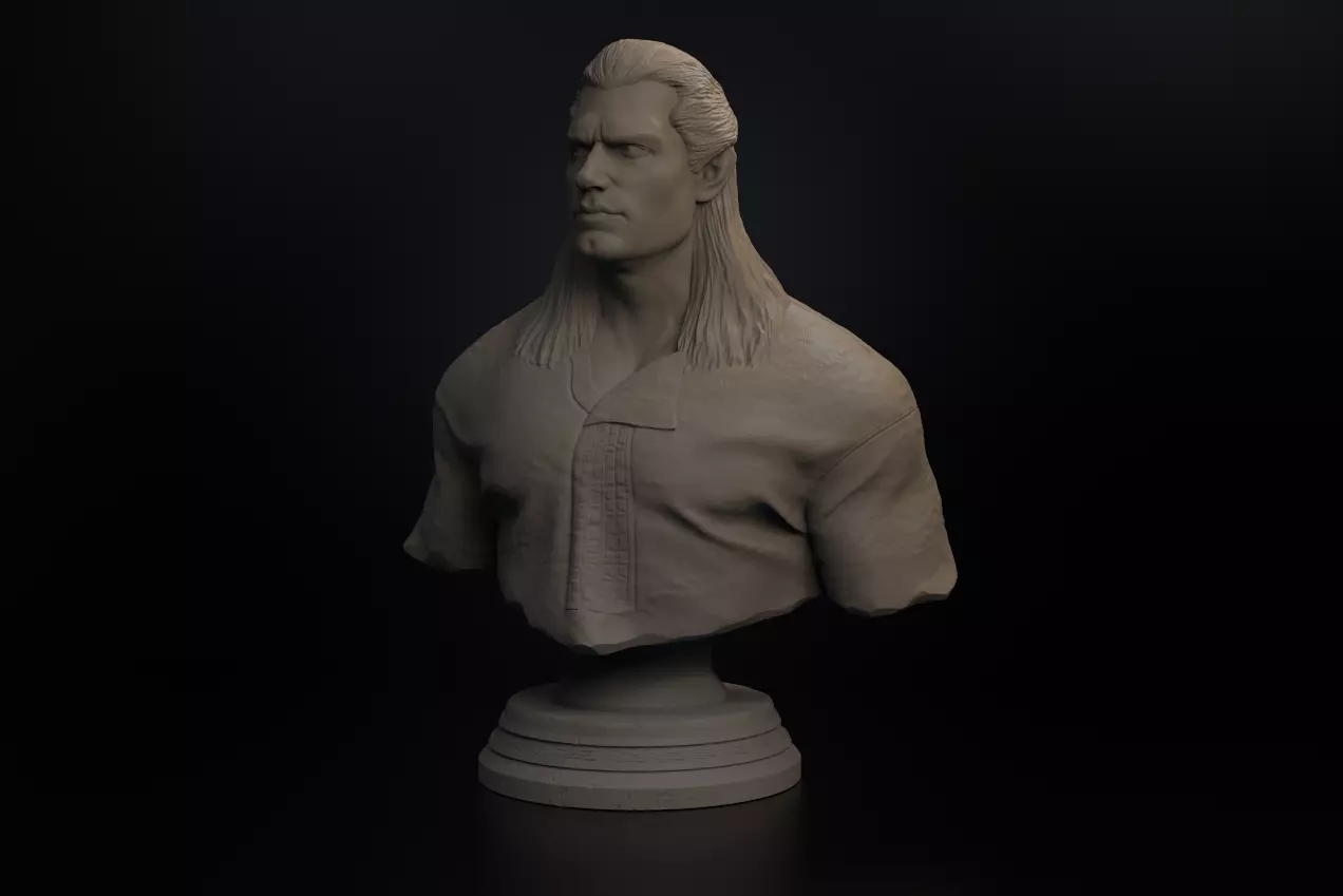 The Witcher Bust 3D print model_0