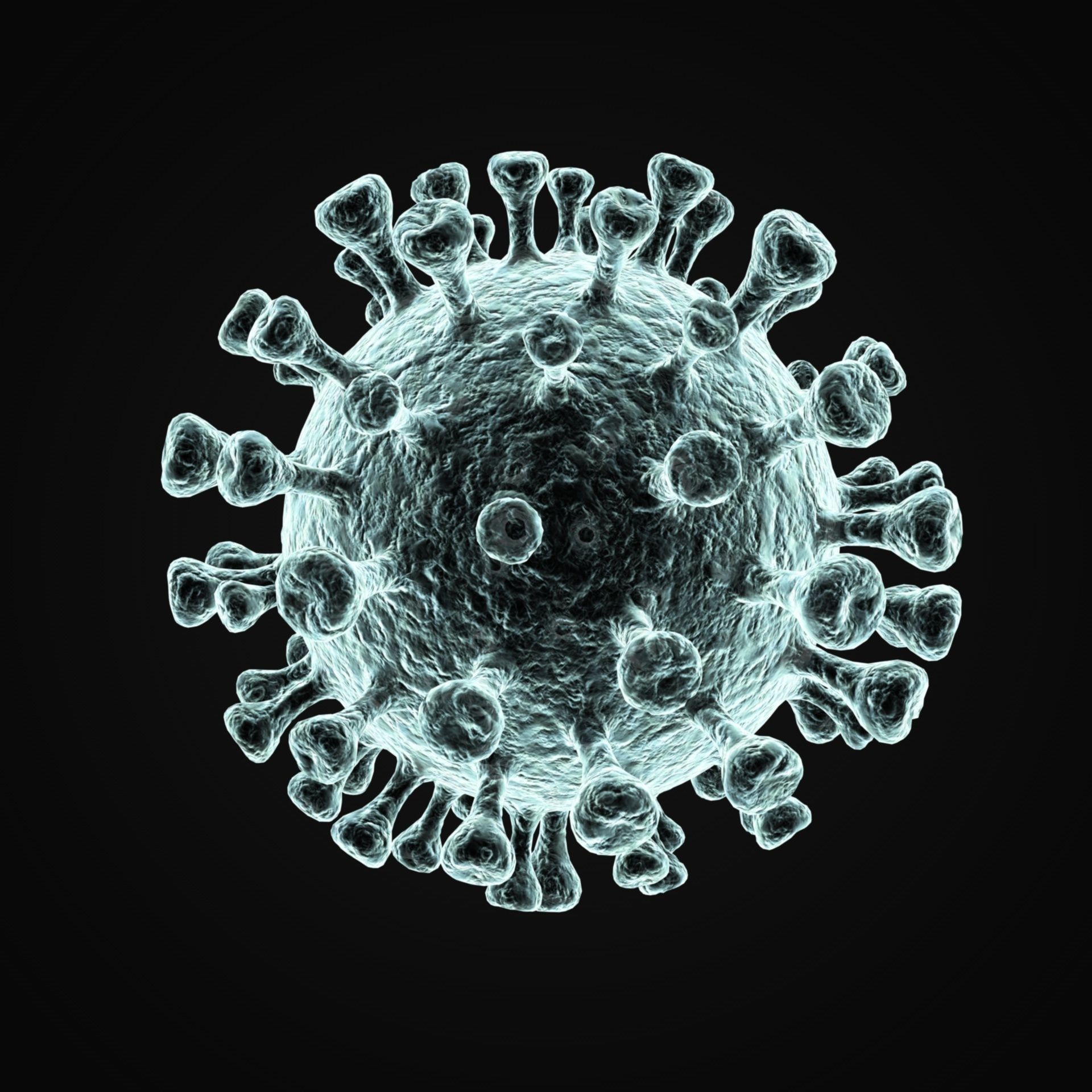 Coronavirus 2019-nCoV SARS-CoV-2 3D model_3