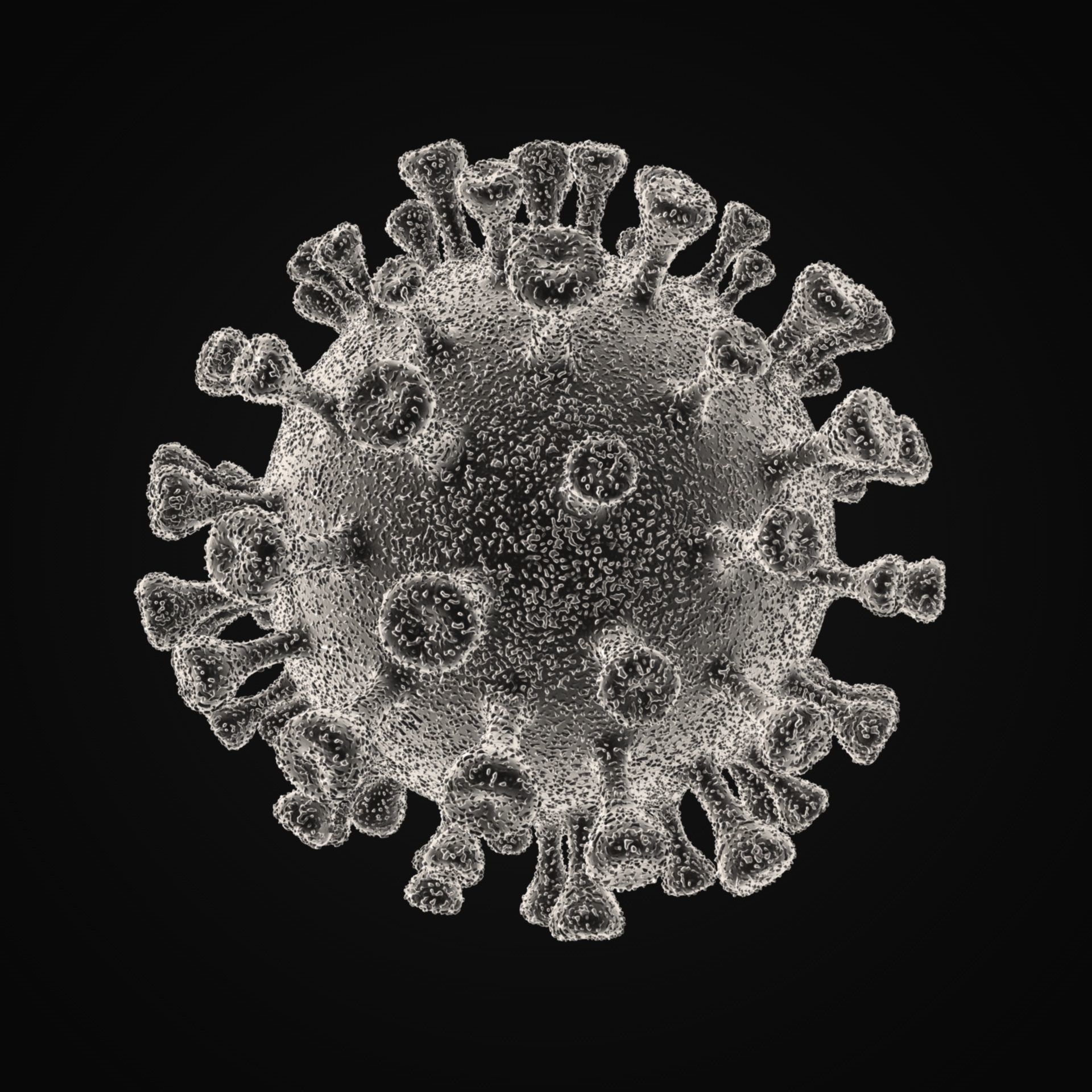 Coronavirus 2019-nCoV SARS-CoV-2 3D model_1