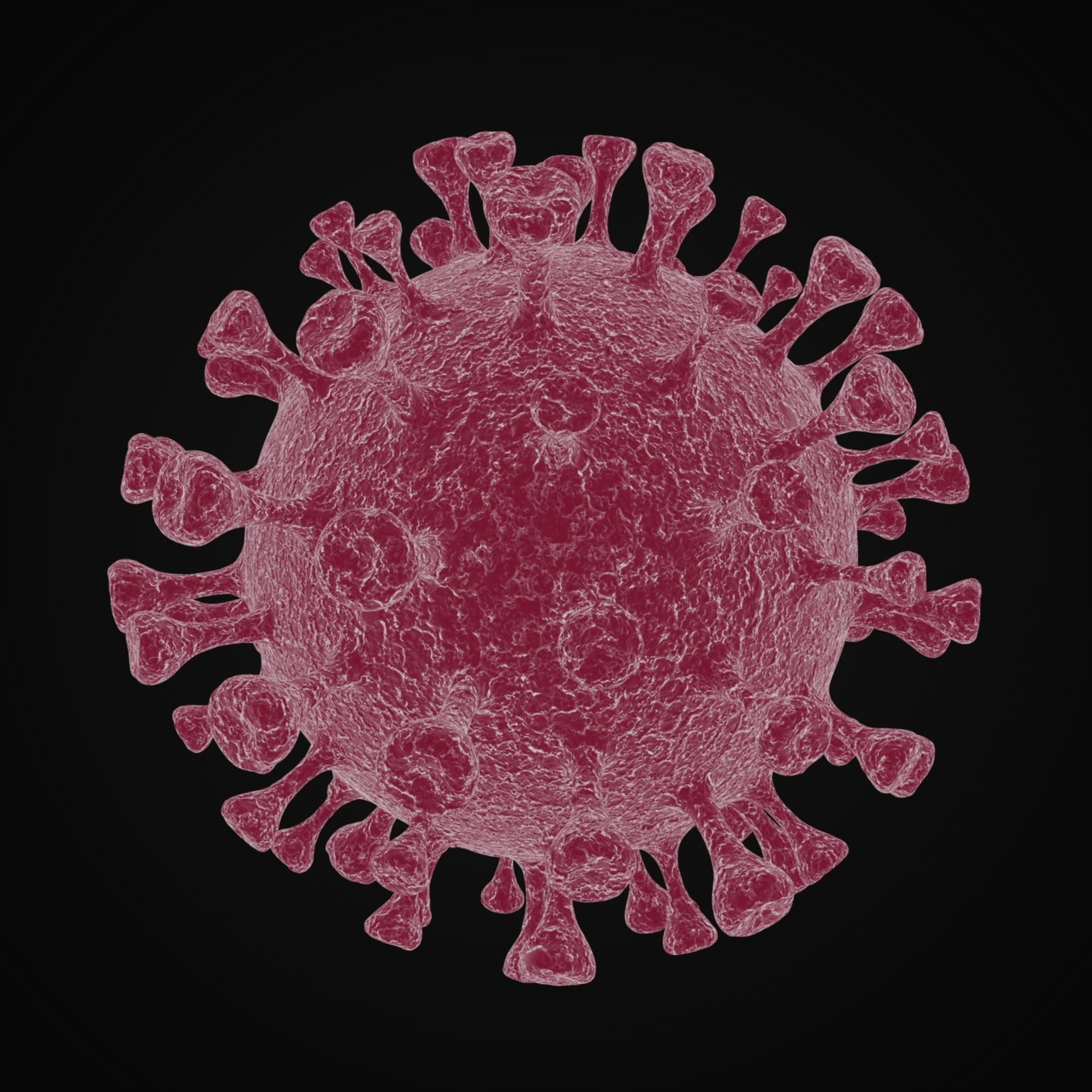 Coronavirus 2019-nCoV SARS-CoV-2 3D model_2