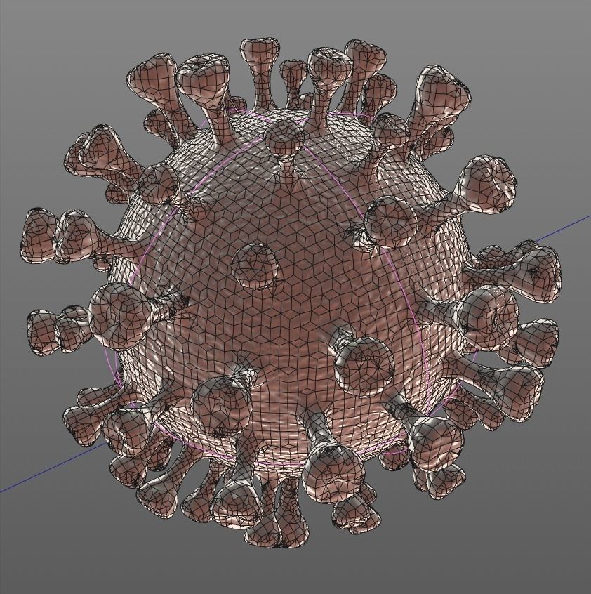 Coronavirus 2019-nCoV SARS-CoV-2 3D model_5