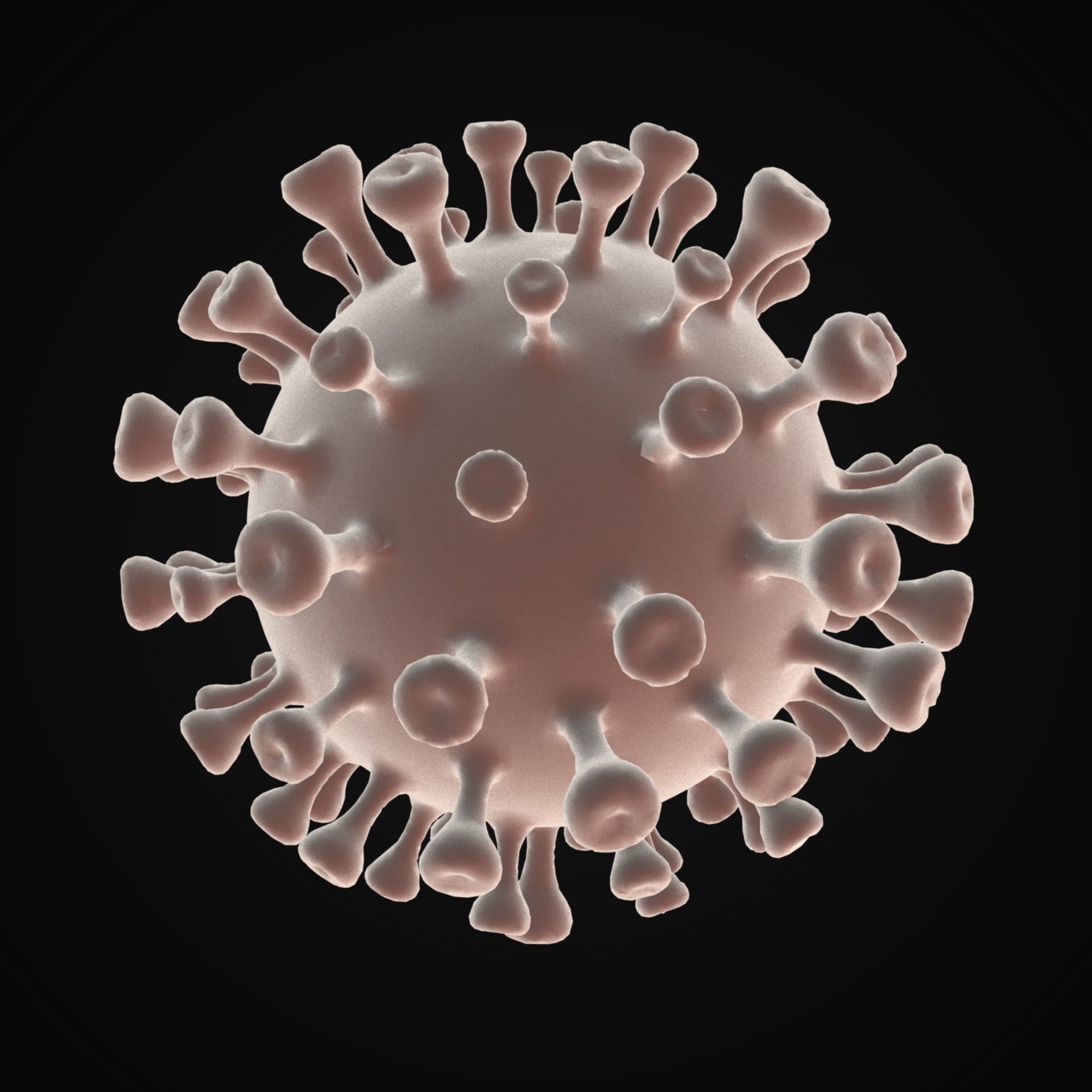 Coronavirus 2019-nCoV SARS-CoV-2 3D model_4