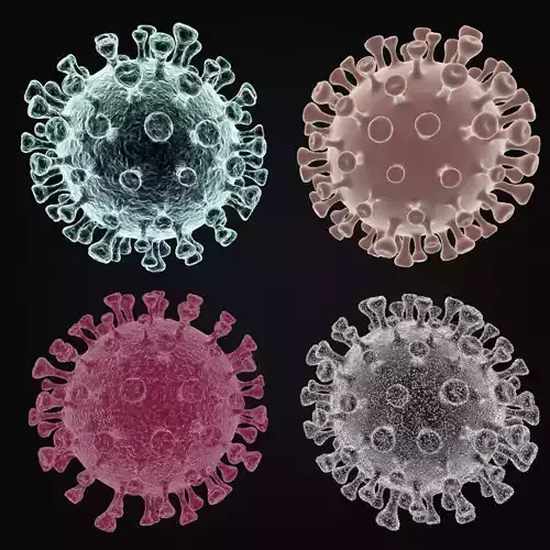 Coronavirus 2019-nCoV SARS-CoV-2 3D model