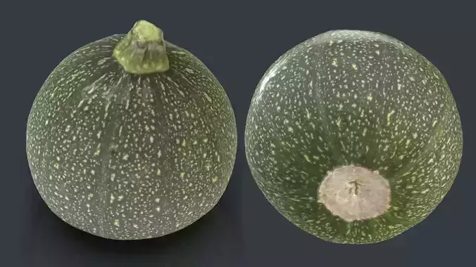 ZUCCHINI MOON